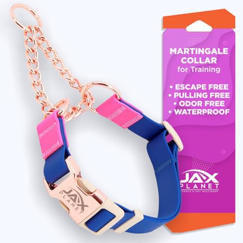 JAX PLANET Jelly Martingale-Halsband für Hunde mit Schnalle und Kette, robuster D-Ring, verstellbar, wasserdicht, ausbruchsicher, rutschfest (Blau-Rose, groß) von JAX PLANET