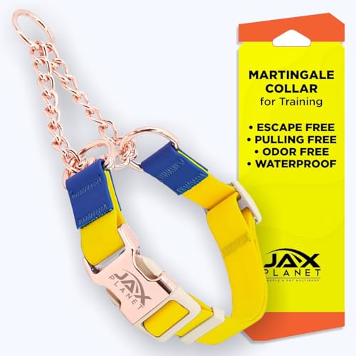 Jelly Martingale-Halsband für Hunde mit Schnalle und Kette, robuster D-Ring, kein Ziehen, Halsband für Training, Spazierengehen, verstellbar, wasserdicht, ausbruchsicher, rutschfest (Gelb-Blau), Größe von JAX PLANET