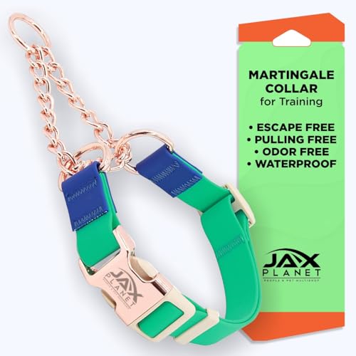 Jelly Wasserdichtes Martingale-Hundehalsband, kein Ziehen, Nylon-Halsband mit Schnalle aus Legierung und D-Ring für Training und Spaziergänge im Freien, Anti-Ziehen, Ausbruchfrei, einmalige Anpassung Jelly Wasserdichtes Martingale-Hundehalsband, kein Ziehen, Nylon-Halsband mit Schnalle aus Legierung und D-Ring für Training und Spaziergänge im Freien, Anti-Ziehen, Ausbruchfrei, einmalige Anpassung von JAX PLANET