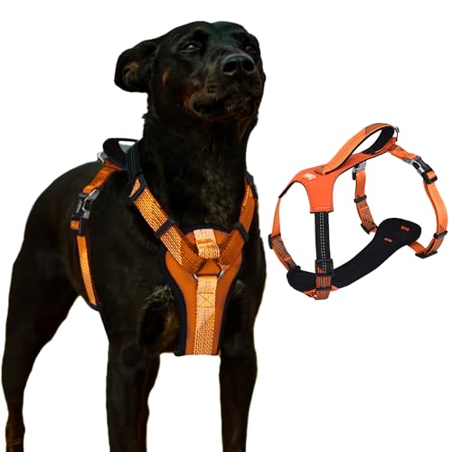 Neoman Hundegeschirr mit Griff – [ZLHA-009]: All-in-One Hundegeschirr mit atmungsaktiver, weicher Polsterung, ausbruchsicher, Anti-Zieh-Hundegeschirr für mittelgroße und große Hunde von JAX PLANET