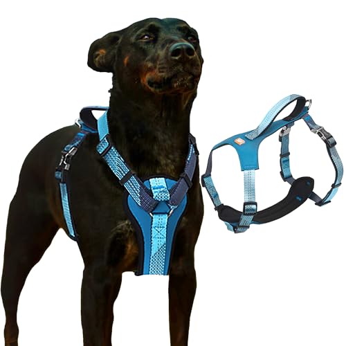 Neoman Hundegeschirr mit Griff – [ZLHA-009]: All-in-One Hundegeschirr mit atmungsaktiver, weicher Polsterung, ausbruchsicher, Anti-Zieh-Hundegeschirr für mittelgroße und große Hunde von JAX PLANET