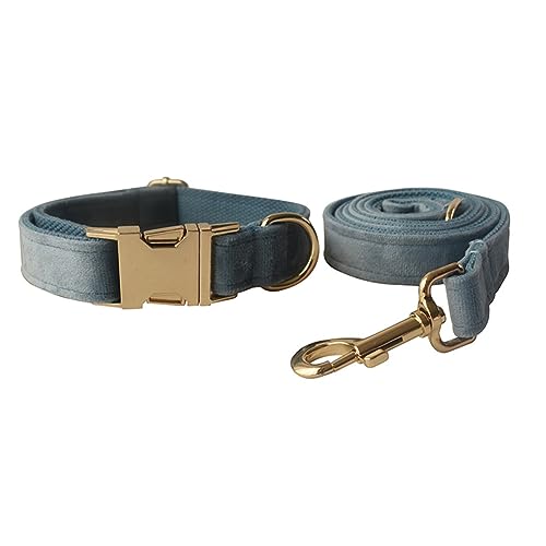 Hundehalsband und Leine, weiches und bequemes Samt-Hundehalsband und Leine, mit robuster Metallschnalle und D-Ring, verstellbare Halsbänder für kleine, mittelgroße und große Hunde (Halsband + Leine, Hundehalsband und Leine, weiches und bequemes Samt-Hundehalsband und Leine, mit robuster Metallschnalle und D-Ring, verstellbare Halsbänder für kleine, mittelgroße und große Hunde (Halsband + Leine, von JAY D.L