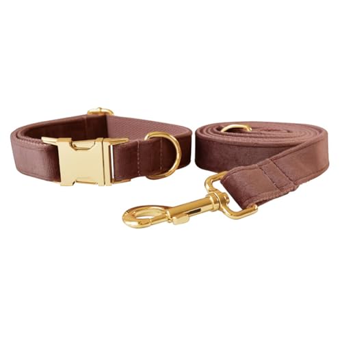 Hundehalsband und Leine, weiches und bequemes Samt-Hundehalsband und Leine mit robuster Metallschnalle und D-Ring, verstellbare Halsbänder für kleine, mittelgroße und große Hunde (Halsband + Leine, Hundehalsband und Leine, weiches und bequemes Samt-Hundehalsband und Leine mit robuster Metallschnalle und D-Ring, verstellbare Halsbänder für kleine, mittelgroße und große Hunde (Halsband + Leine, von JAY D.L