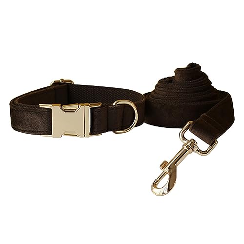 Hundehalsband und Leine, weiches und bequemes Samt-Hundehalsband und Leine mit robuster Metallschnalle und D-Ring, verstellbare Halsbänder für kleine, mittelgroße und große Hunde (Halsband + Leine, Hundehalsband und Leine, weiches und bequemes Samt-Hundehalsband und Leine mit robuster Metallschnalle und D-Ring, verstellbare Halsbänder für kleine, mittelgroße und große Hunde (Halsband + Leine, von JAY D.L