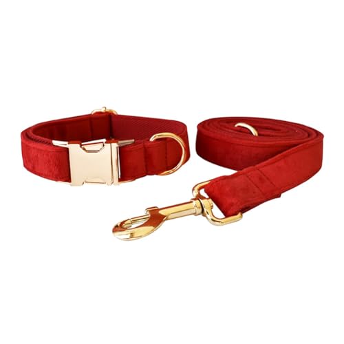 Hundehalsband und Leine, weiches und bequemes Samt-Hundehalsband und Leine mit robuster Metallschnalle und D-Ring, verstellbare Halsbänder für kleine, mittelgroße und große Hunde (Halsband + Leine Hundehalsband und Leine, weiches und bequemes Samt-Hundehalsband und Leine mit robuster Metallschnalle und D-Ring, verstellbare Halsbänder für kleine, mittelgroße und große Hunde (Halsband + Leine von JAY D.L