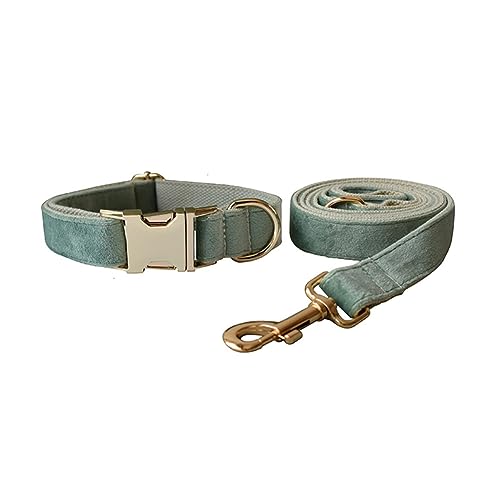 Hundehalsband und Leine, weiches und bequemes Samt-Hundehalsband und Leine mit robuster Metallschnalle und D-Ring, verstellbare Halsbänder für kleine, mittelgroße und große Hunde (Halsband + Leine, Hundehalsband und Leine, weiches und bequemes Samt-Hundehalsband und Leine mit robuster Metallschnalle und D-Ring, verstellbare Halsbänder für kleine, mittelgroße und große Hunde (Halsband + Leine, von JAY D.L