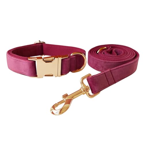 Hundehalsband und Leine, weiches und bequemes Samt-Hundehalsband und Leine mit robuster Metallschnalle und D-Ring, verstellbare Halsbänder für kleine, mittelgroße und große Hunde (Halsband + Leine Hundehalsband und Leine, weiches und bequemes Samt-Hundehalsband und Leine mit robuster Metallschnalle und D-Ring, verstellbare Halsbänder für kleine, mittelgroße und große Hunde (Halsband + Leine von JAY D.L