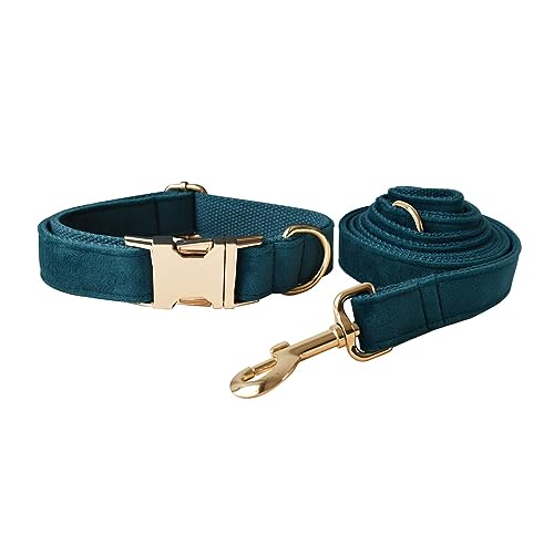 Hundehalsband und Leine, weiches und bequemes Samt-Hundehalsband und Leine mit robuster Metallschnalle und D-Ring, verstellbare Halsbänder für kleine, mittelgroße und große Hunde (Halsband + Leine, Hundehalsband und Leine, weiches und bequemes Samt-Hundehalsband und Leine mit robuster Metallschnalle und D-Ring, verstellbare Halsbänder für kleine, mittelgroße und große Hunde (Halsband + Leine, von JAY D.L