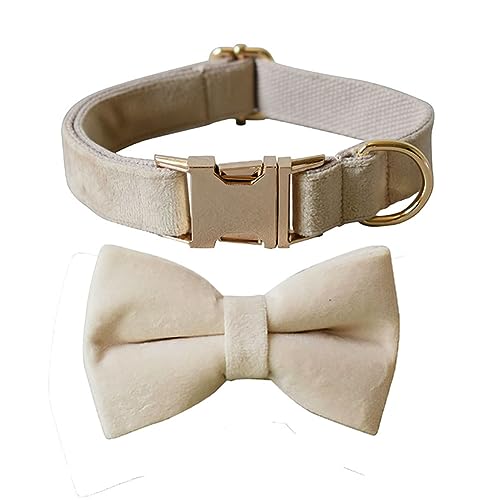 JAY D.L Hundehalsband mit Fliege, weiches und bequemes Samthalsband mit Fliege, abnehmbar und verstellbar, für kleine, mittelgroße oder große Hunde und Katzen, mit Sicherheits-Metallschnalle (Beige, von JAY D.L