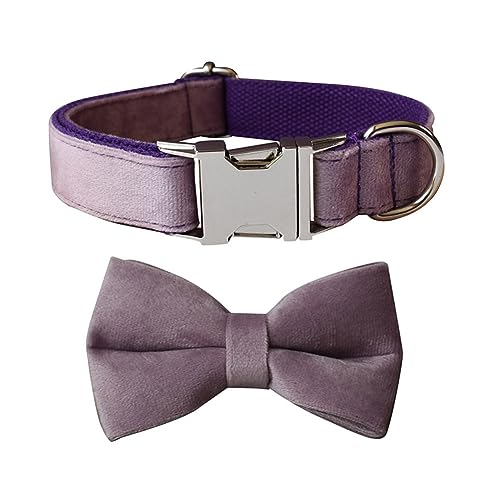 JAY D.L Hundehalsband mit Fliege, weiches und bequemes Samthalsband mit Fliege, abnehmbar und verstellbar, für kleine, mittelgroße oder große Hunde und Katzen, mit Sicherheits-Metallschnalle von JAY D.L