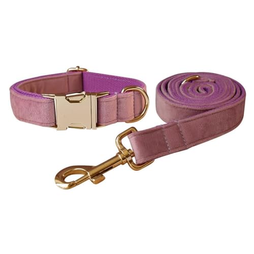 JAY D.L Hundehalsband und Leine, weiches und bequemes Samt-Hundehalsband mit robuster Metallschnalle und passender Leine, verstellbar für kleine, mittelgroße und große Hunde (Größe M, Hellviolett) JAY D.L Hundehalsband und Leine, weiches und bequemes Samt-Hundehalsband mit robuster Metallschnalle und passender Leine, verstellbar für kleine, mittelgroße und große Hunde (Größe M, Hellviolett) von JAY D.L