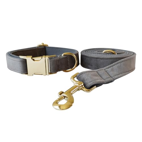 JAY D.L Hundehalsband und Leine, weiches und bequemes Samt-Hundehalsband mit robuster Metallschnalle und passender Leine, verstellbar für kleine, mittelgroße und große Hunde (Größe M, Silbergrau) JAY D.L Hundehalsband und Leine, weiches und bequemes Samt-Hundehalsband mit robuster Metallschnalle und passender Leine, verstellbar für kleine, mittelgroße und große Hunde (Größe M, Silbergrau) von JAY D.L