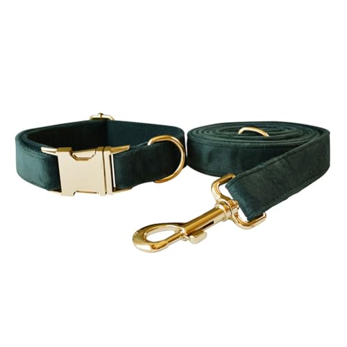JAY D.L Hundehalsband und Leine, weiches und bequemes Samt-Hundehalsband mit robuster Metallschnalle und passender Leine, verstellbar für kleine, mittelgroße und große Hunde (Größe M, Grün) von JAY D.L