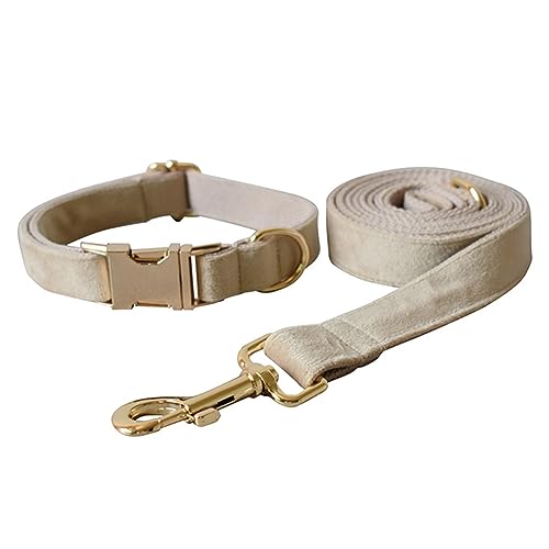 JAY D.L Hundehalsband und Leine, weiches und bequemes Samt-Hundehalsband mit robuster Metallschnalle und passender Leine, verstellbar für kleine, mittelgroße und große Hunde (XL, Beige) von JAY D.L