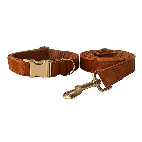 JAY D.L Hundehalsband und Leine, weiches und bequemes Samt-Hundehalsband mit robuster Metallschnalle und passender Leine, verstellbar für kleine, mittelgroße und große Hunde (XL, Bronze) von JAY D.L