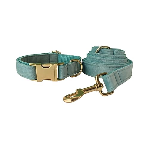 JAY D.L Hundehalsband und Leine, weiches und bequemes Samt-Hundehalsband mit robuster Metallschnalle und passender Leine, verstellbar für kleine, mittelgroße und große Hunde (XL, Seegrün) von JAY D.L