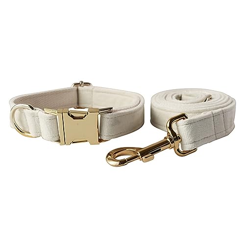 JAY D.L Hundehalsband und Leine, weiches und bequemes Samt-Hundehalsband mit robuster Metallschnalle und passender Leine, verstellbar für kleine, mittelgroße und große Hunde (groß, Weiß) von JAY D.L