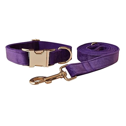 JAY D.L Hundehalsband und Leine, weiches und bequemes Samt-Hundehalsband mit robuster Metallschnalle und passender Leine, verstellbar für kleine, mittelgroße und große Hunde (klein, dunkelviolett) von JAY D.L