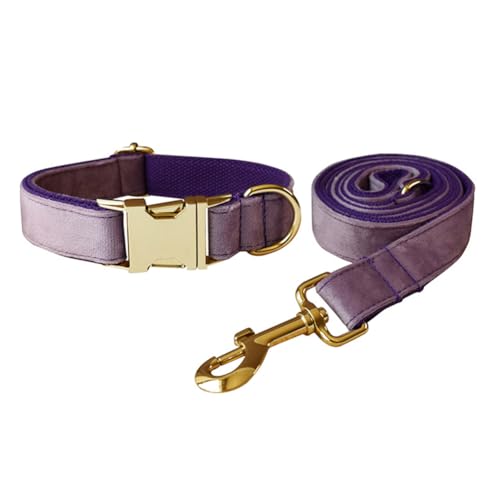 JAY D.L Hundehalsband und Leine, weiches und bequemes Samt-Hundehalsband mit robuster Metallschnalle und passender Leine, verstellbar für kleine, mittelgroße und große Hunde (klein, lila) von JAY D.L