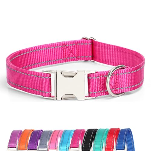 JAY D.L Reflektierendes Hundehalsband mit Metallschnalle, weiches, stabiles Nylon-Hundehalsband mit Schnellverschluss-Schnalle, verstellbare Haustierhalsbänder mit ID-Tag-Ring für kleine, mittelgroße JAY D.L Reflektierendes Hundehalsband mit Metallschnalle, weiches, stabiles Nylon-Hundehalsband mit Schnellverschluss-Schnalle, verstellbare Haustierhalsbänder mit ID-Tag-Ring für kleine, mittelgroße von JAY D.L