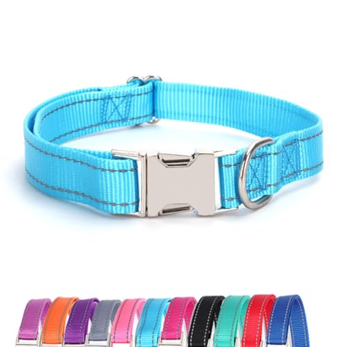 JAY D.L Reflektierendes Hundehalsband mit Metallschnalle, weiches, stabiles Nylon-Hundehalsband mit Schnellverschluss-Schnalle, verstellbare Haustierhalsbänder mit ID-Tag-Ring für kleine, mittelgroße JAY D.L Reflektierendes Hundehalsband mit Metallschnalle, weiches, stabiles Nylon-Hundehalsband mit Schnellverschluss-Schnalle, verstellbare Haustierhalsbänder mit ID-Tag-Ring für kleine, mittelgroße von JAY D.L