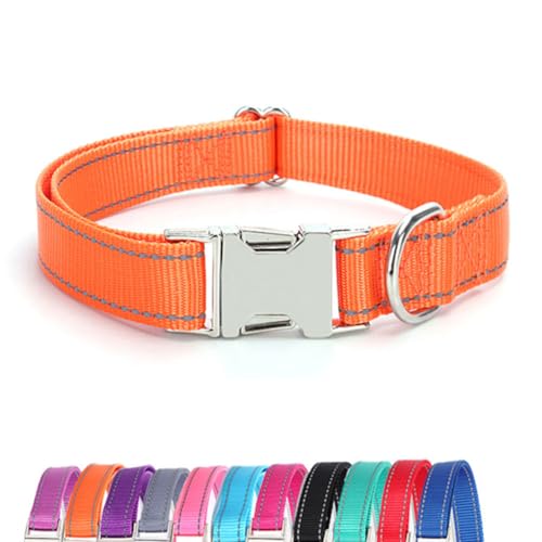 JAY D.L Reflektierendes Hundehalsband mit Metallschnalle, weiches, stabiles Nylon-Hundehalsband mit Schnellverschluss-Schnalle, verstellbare Haustierhalsbänder mit ID-Tag-Ring für kleine, mittelgroße JAY D.L Reflektierendes Hundehalsband mit Metallschnalle, weiches, stabiles Nylon-Hundehalsband mit Schnellverschluss-Schnalle, verstellbare Haustierhalsbänder mit ID-Tag-Ring für kleine, mittelgroße von JAY D.L