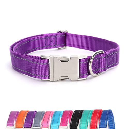 JAY D.L Reflektierendes Hundehalsband mit Metallschnalle, weiches, stabiles Nylon-Hundehalsband mit Schnellverschluss-Schnalle, verstellbare Haustierhalsbänder mit ID-Tag-Ring für kleine, mittelgroße JAY D.L Reflektierendes Hundehalsband mit Metallschnalle, weiches, stabiles Nylon-Hundehalsband mit Schnellverschluss-Schnalle, verstellbare Haustierhalsbänder mit ID-Tag-Ring für kleine, mittelgroße von JAY D.L