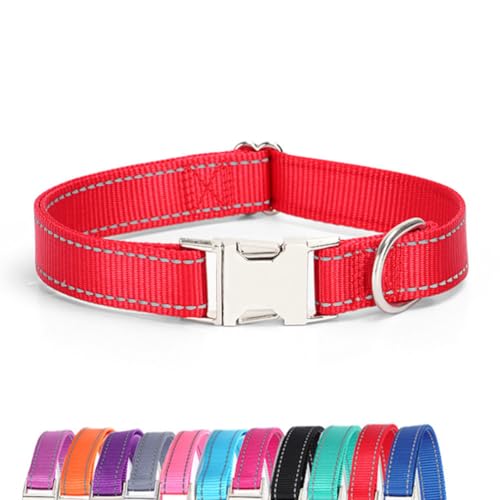 JAY D.L Reflektierendes Hundehalsband mit Metallschnalle, weiches, stabiles Nylon-Hundehalsband mit Schnellverschluss-Schnalle, verstellbare Haustierhalsbänder mit ID-Tag-Ring für kleine, mittelgroße JAY D.L Reflektierendes Hundehalsband mit Metallschnalle, weiches, stabiles Nylon-Hundehalsband mit Schnellverschluss-Schnalle, verstellbare Haustierhalsbänder mit ID-Tag-Ring für kleine, mittelgroße von JAY D.L