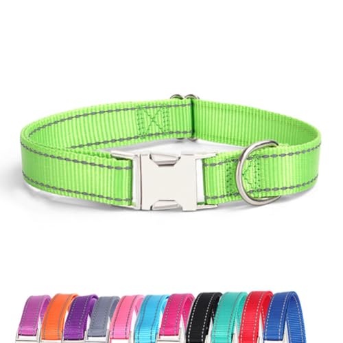 JAY D.L Reflektierendes Hundehalsband mit Metallschnalle, weiches, stabiles Nylon-Hundehalsband mit Schnellverschluss-Schnalle, verstellbare Haustierhalsbänder mit ID-Tag-Ring für kleine, mittelgroße JAY D.L Reflektierendes Hundehalsband mit Metallschnalle, weiches, stabiles Nylon-Hundehalsband mit Schnellverschluss-Schnalle, verstellbare Haustierhalsbänder mit ID-Tag-Ring für kleine, mittelgroße von JAY D.L