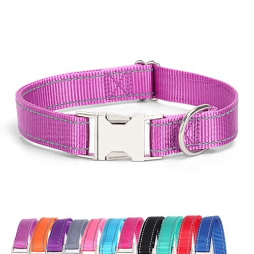 JAY D.L Reflektierendes Hundehalsband mit Metallschnalle, weiches, stabiles Nylon-Hundehalsband mit Schnellverschluss-Schnalle, verstellbare Haustierhalsbänder mit ID-Tag-Ring für kleine, mittelgroße JAY D.L Reflektierendes Hundehalsband mit Metallschnalle, weiches, stabiles Nylon-Hundehalsband mit Schnellverschluss-Schnalle, verstellbare Haustierhalsbänder mit ID-Tag-Ring für kleine, mittelgroße von JAY D.L