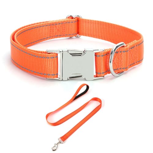 Reflektierendes Hundehalsband und Leine, Set mit Metallschnalle, weiches, stabiles Nylon-Hundehalsband mit Schnellverschluss-Schnalle, verstellbare Haustierhalsbänder mit ID-Tag-Ring für kleine Reflektierendes Hundehalsband und Leine, Set mit Metallschnalle, weiches, stabiles Nylon-Hundehalsband mit Schnellverschluss-Schnalle, verstellbare Haustierhalsbänder mit ID-Tag-Ring für kleine von JAY D.L