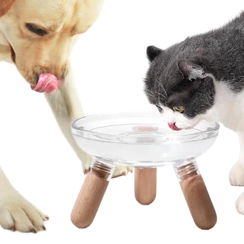 JAYIOLA Erhöhter Katzennapf für Katzen Und Hunde, Tragbar, Schützt Die Wirbelsäule des Haustiers, Snack für Katzen JAYIOLA Erhöhter Katzennapf für Katzen Und Hunde, Tragbar, Schützt Die Wirbelsäule des Haustiers, Snack für Katzen von JAYIOLA