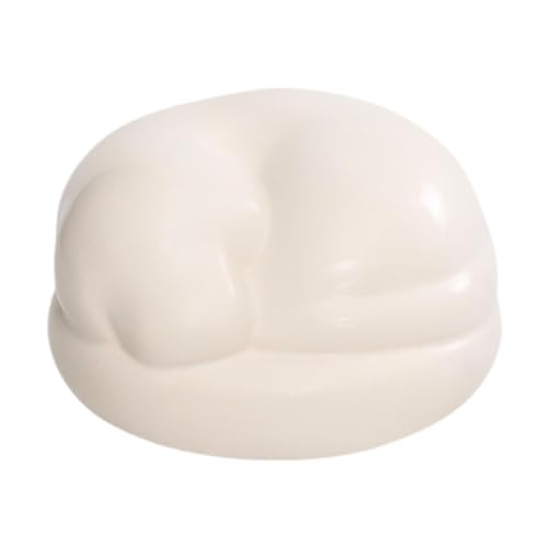 JAYIOLA Haustier Urne Pet Memory Case Bestattung Display Sarg Dichtung Bestattung Haustier Haarspeicher Jar Souvenir für Kaninchen Katzen Welpen Hunde, Hund von JAYIOLA
