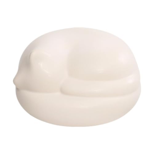 JAYIOLA Haustier Urne Pet Memory Case Bestattung Display Sarg Dichtung Bestattung Haustier Haarspeicher Jar Souvenir für Kaninchen Katzen Welpen Hunde, Katze von JAYIOLA