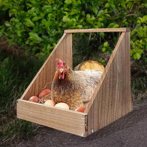JAYIOLA Hühnernistkasten Easy Assembly Lebensraumversorgungen Hühnernistkasten für Vogel von JAYIOLA