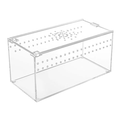 JAYIOLA Reptilien Terrarium Acryl Tiergehege Zuchtbehälter Aquarienbehausung mit Robuster Konstruktion Und Rutschfestem Boden für Krabben Skorpione, 20.3 cm X 10.2 cm X JAYIOLA Reptilien Terrarium Acryl Tiergehege Zuchtbehälter Aquarienbehausung mit Robuster Konstruktion Und Rutschfestem Boden für Krabben Skorpione, 20.3 cm X 10.2 cm X von JAYIOLA