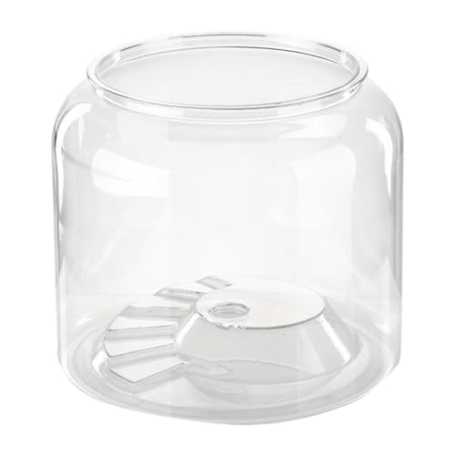 JAYIOLA Turtle Container Reptile Habitat Fashion Tisch Dekorative DIY Micro Landscape Step Terrarium für Salon Apartment Home, L Without Lid von JAYIOLA