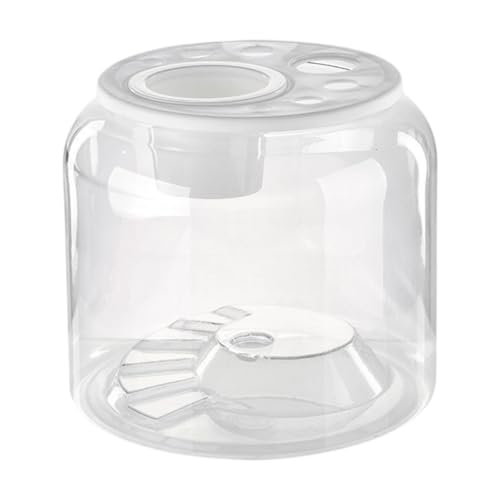 JAYIOLA Turtle Container Reptile Habitat Fashion Tisch Dekorative DIY Micro Landscape Step Terrarium für Salon Apartment Home, L with Lid von JAYIOLA