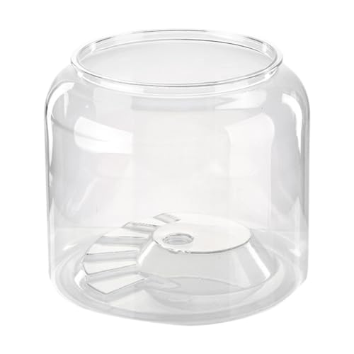JAYIOLA Turtle Container Reptile Habitat Fashion Tisch Dekorative DIY Micro Landscape Step Terrarium für Salon Apartment Home, XL Ohne Deckel von JAYIOLA