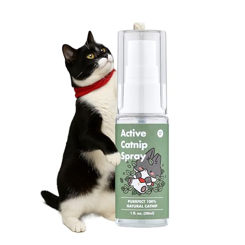 JAYU PET Active Catnip Spray – Hochwirksames transparentes Flüssigkeitsspray aus frischer Bio-Katzenminze, lindert Stress, beruhigt, belebt Spielzeug und Kratzbäume, sorgt für Bewegung (1 FL oz) von JAYU PET