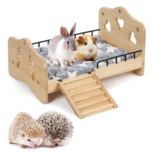 JAZUIHA Holz Meerschweinchen Bett mit Stufen, Geländer und Matte, Zwergkaninchen Bettchen mit Kuschelkissen, Kaninchenbett Plüschbett für Kleintiere Chinchillas Hamster Frettchen und Igel JAZUIHA Holz Meerschweinchen Bett mit Stufen, Geländer und Matte, Zwergkaninchen Bettchen mit Kuschelkissen, Kaninchenbett Plüschbett für Kleintiere Chinchillas Hamster Frettchen und Igel von JAZUIHA