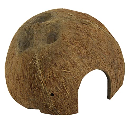JBL 61510 Kokosnuss-Schale als Höhle für Aquarien und Terrarien, Cocos Cava 1/2 L JBL 61510 Kokosnuss-Schale als Höhle für Aquarien und Terrarien, Cocos Cava 1/2 L von JBL