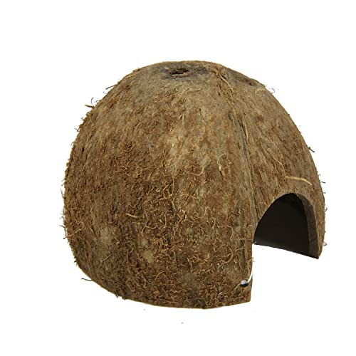 JBL 61511 Kokosnuss-Schale als Höhle für Aquarien und Terrarien, Cocos Cava 1/2 M JBL 61511 Kokosnuss-Schale als Höhle für Aquarien und Terrarien, Cocos Cava 1/2 M von JBL