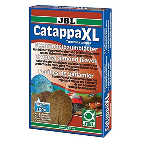 JBL Catappa 25198, Seemandelbaumblätter für Süßwasser-Aquarien, 10 Stück, XL von JBL