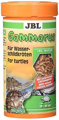 JBL Gammarus 7032200 Ergänzungsfutter für Wasserschildkröten, 1er Pack (1 x 250 ml) von JBL
