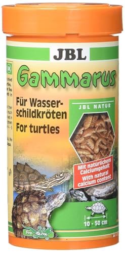 JBL Gammarus 7032200 Ergänzungsfutter für Wasserschildkröten, 1er Pack (1 x 250 ml) von JBL
