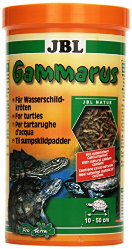 JBL Gammarus 70323 Ergänzungsfutter für Wasserschildkröten, 1er Pack (1 x 1 l) von JBL