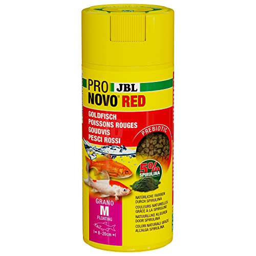 JBL PRONOVO RED GRANO, Hauptfutter für Goldfische von 8-20 cm, Fischfutter-Granulat, Klickdosierer, Größe M, 250 ml JBL PRONOVO RED GRANO, Hauptfutter für Goldfische von 8-20 cm, Fischfutter-Granulat, Klickdosierer, Größe M, 250 ml von JBL