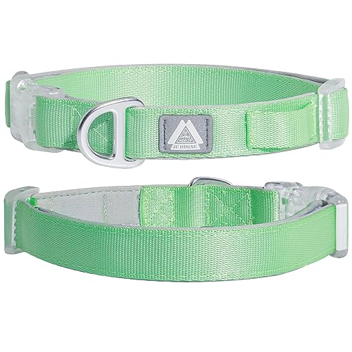 JC HOUSE Hundehalsband, leichtes, weich gepolstertes klassisches Haustierhalsband mit reflektierendem Logo-LED-Halter und Schnellverschluss-Schnallen, kleines, grün, S (C-M3S) von JC HOUSE