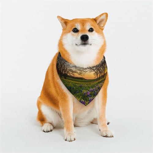 Hundehalstuch, 1 Stück, Lavendelwiese bei Sonnenuntergang, Frühlingsdruck, Bandana für Hunde, waschbares Lätzchen, Schal, Katzen-/Hundehalstuch, Dreiecks-Lätzchen, Schal, verstellbare Hundehalstücher von JCAKES